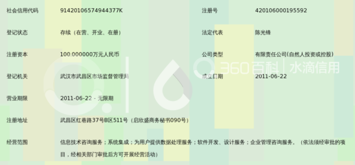 武汉经天纬地人和信息技术 驱动区域数字化转型的信息技术咨询服务专家